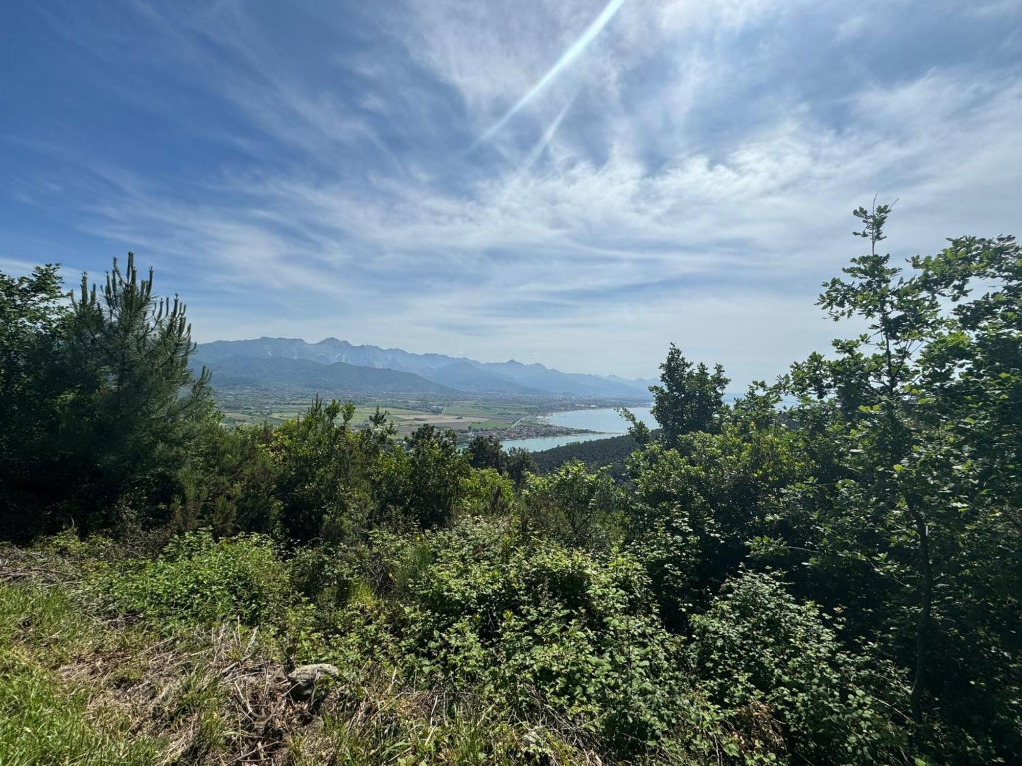 La Terrazza Di Ameglia Alta公寓 外观 照片